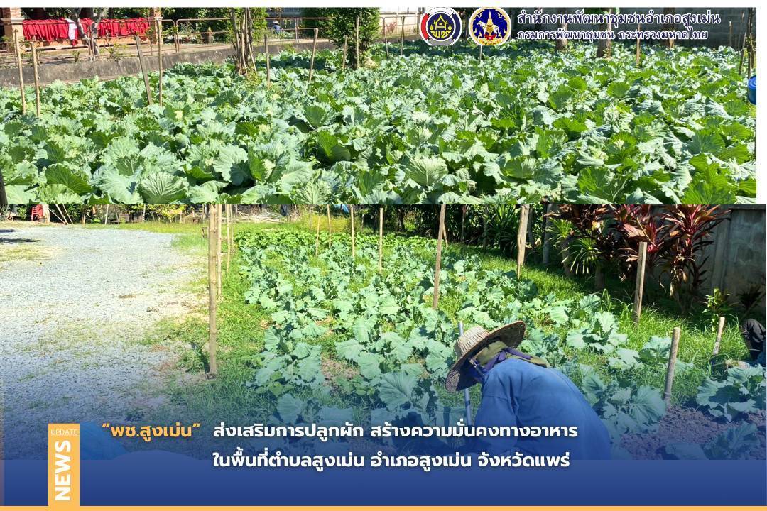 พช.สูงเม่น ส่งเสริมการ น้อมนำแนวพระราชดำริ “บ้านนี้มีรัก ปลูกผักกินเอง” สร้างความมั่นคงทางอาหาร