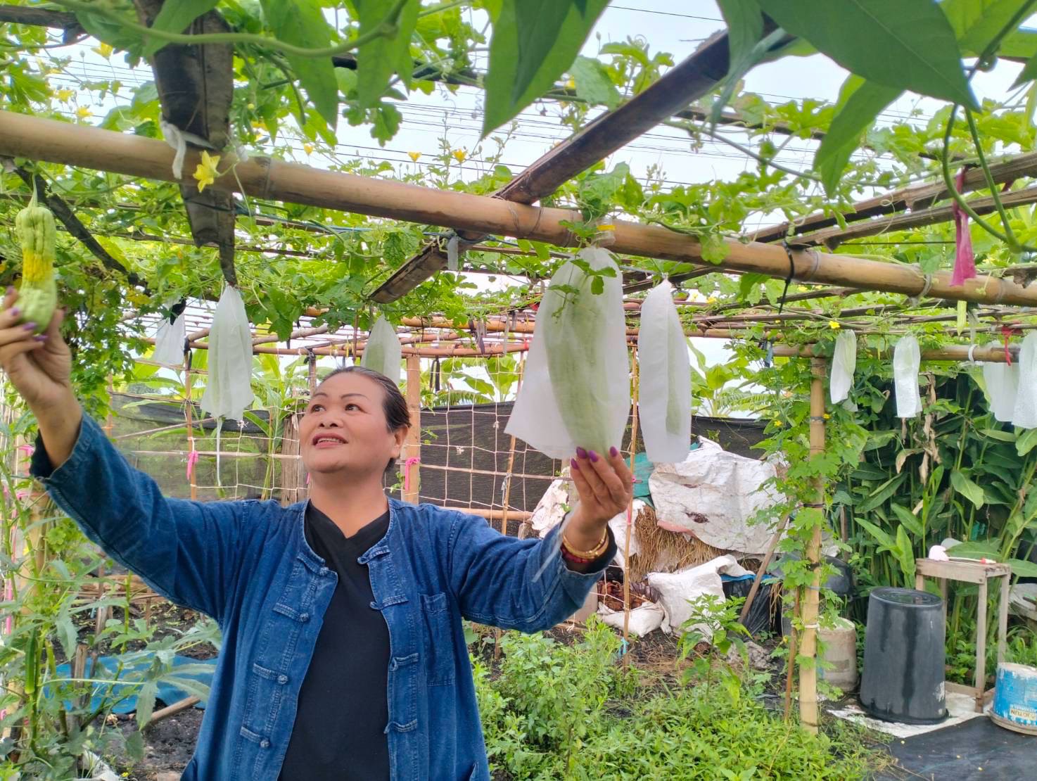 พช.สูงเม่น ชวนขับเคลื่อนปฏิบัติการ "Quick Win" 90 วัน ครัวเรือนทำตาม ปลูกผักสวนครัวเพื่อสร้างความมั่นคงทางอาหาร สู้ภัยวิกฤตด้วยวิถีพอเพียง  