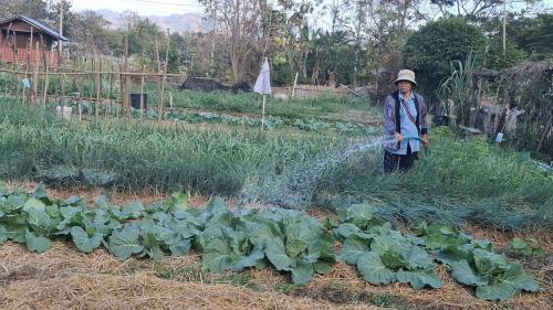พช.สูงเม่น เดินหน้าขับเคลื่อน "การปลูกผักสวนครัว" เพื่อสร้างความมั่นคงทางอาหาร ภายใต้กรอบแนวคิดการเปลี่ยนแปลงให้เกิดสิ่งที่ดีขึ้น “ปรับเปลี่ยนดี ชีวีมีสุข” (Change for 5G Plus) สร้างต้นแบบผู้นำต้องทำก่อน 