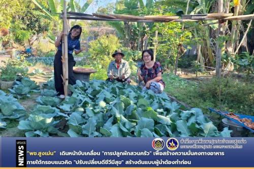 พช.สูงเม่น เดินหน้าขับเคลื่อน "การปลูกผักสวนครัว" เพื่อสร้างความมั่นคงทางอาหาร ภายใต้กรอบแนวคิดการเปลี่ยนแปลงให้เกิดสิ่งที่ดีขึ้น “ปรับเปลี่ยนดี ชีวีมีสุข” (Change for 5G Plus) สร้างต้นแบบผู้นำต้องทำก่อน 