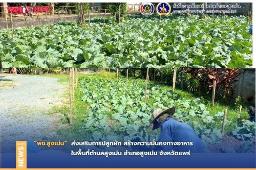 พช.สูงเม่น ส่งเสริมการ น้อมนำแนวพระราชดำริ “บ้านนี้มีรัก ปลูกผักกินเอง” สร้างความมั่นคงทางอาหาร